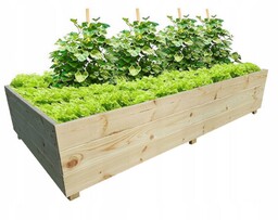 Warzywniak Zielnik Inspekt Skrzynia 140x80x20 Eko Drewniany Wysoki