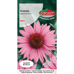 Rudbekia purpurowa - Rudbeckia purpurea purpurowo - różowa