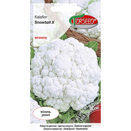 Kalafior Snowball X 1g