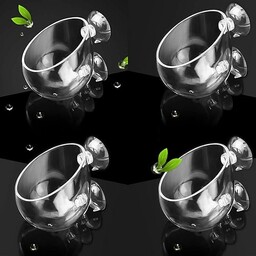 Capetsma 4 x Szklana Doniczka na Rośliny