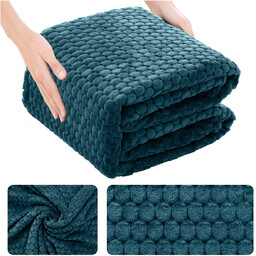 Koc 160 x 200 Mikrofibra Tłoczona Pluszowa Ala