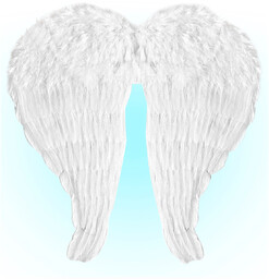 Skrzydła anioła białe z piórami - 60 x