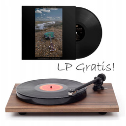 Rega Planar 1 Plus (Carbon) Orzech Album Lp