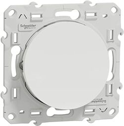 Schneider Electric Odace, s520205 cruzamiento 10 A