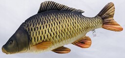 Maskotka Ryba Karp pełnołuski Mini - 36cm