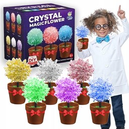 Zestaw 6 Szt Edukacyjny Hodowla Kryształów Eksperyment Drzewko