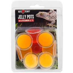 REPTI PLANET pokarm uzupełniający dla gadów i bezkręgowców