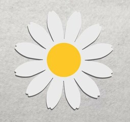 Stokrotki- wycinanka z kartonu