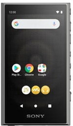 SONY Przenośny odtwarzacz Walkman NW-A306B Czarny