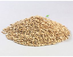 Orkisz całe ziarno BIO 5kg*, - 00505