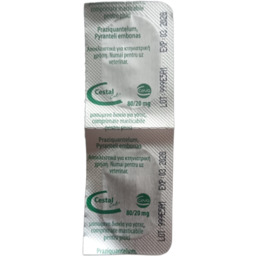 Cestal blister 2 tabletki tabletki odrobaczające dla kotów