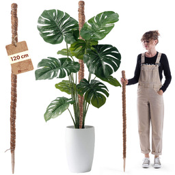 Tyczka do roślin kokosowa Cande 120 cm podpora
