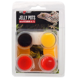 REPTI PLANET pokarm uzupełniający dla gadów i bezkręgowców