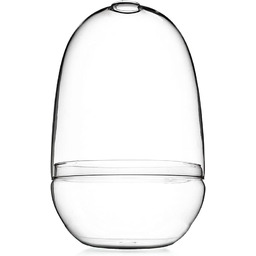 Bloomingville A82041743 terrarium szklane, przezroczyste, L