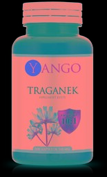 Astragalus - Traganek ( Suplement diety, 100 kaps.)