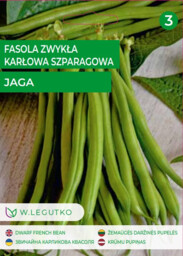 W.Legutko - Fasola Jaga 25g