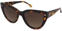 Okulary przeciwsłoneczne Carrera Carrera 3017/S 086/HA