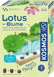 Lotus-Blume: Experimentierkasten