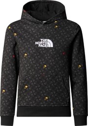 THE NORTH FACE Drew Peak Light bluza