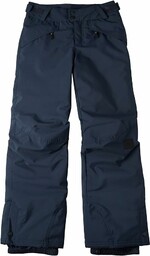 Anvil Pants spodnie narciarskie spodnie snowboardowe