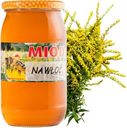Miód nawłociowy 1,1 kg polski z nawłoci mimoza