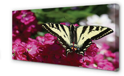 Obraz na płótnie Kwiaty motyl
