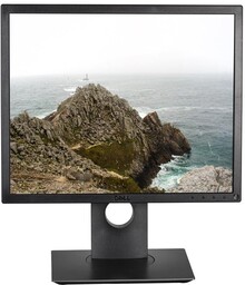 Monitor Dell P1917S 19 LED IPS 5:4 DP