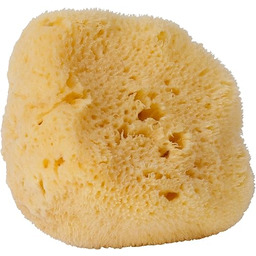 Croll & Denecke Naturalna gąbka, gąbka morska, naturalna,