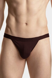 Stringi męskie Atlantic MP-1572/1 czekoladowe