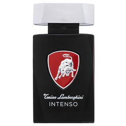 Tonino Lamborghini Intenso woda toaletowa dla mężczyzn 125