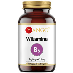 Witamina B6 suplement diety 90 kapsułek