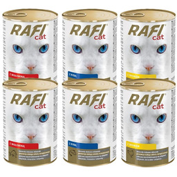 DOLINA NOTECI Rafi Adult mix smaków w sosie