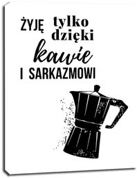 Sarkazm - obraz na płótnie Wymiar do wyboru: