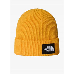 Czapka zimowa The North Face Salty Lined Beanie