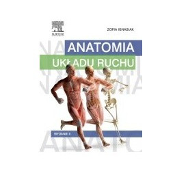 Anatomia układu ruchu Podręcznik nowy