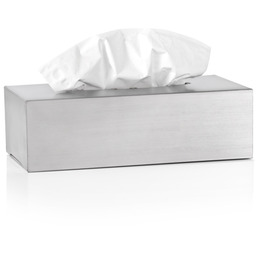 Blomus Pojemnik na chusteczki (stal matowa) Nexio