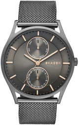 Skagen SKW6180