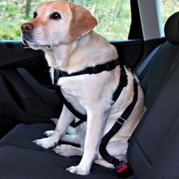 Trixie Szelki bezpieczeństwa z pasem dla psów -