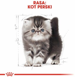 ROYAL CANIN Persian Kitten 2kg