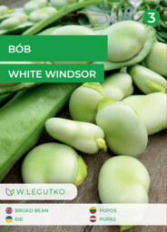 W.Legutko - Bób White Windsor 30g