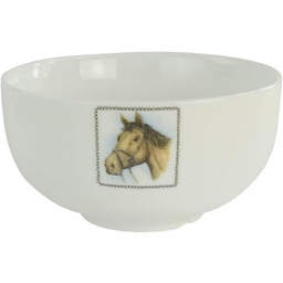 Boerenwinkel KOM Paard