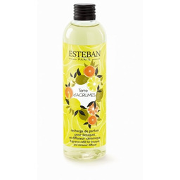 Esteban PARIS Refill - Uzupełnienie Dyfuzora Zapachu 250
