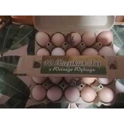 Jaja kurze z wolnego wybiegu rozmiar M