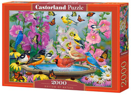 Castorland, puzzle, Ptaki Rytm natury, 2000 el.