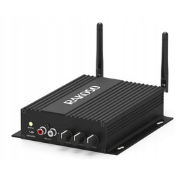 Odtwarzacz sieciowy Arylic SA100 Wifi Bt Czarny