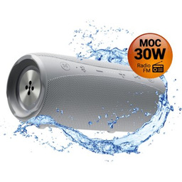 XMUSIC Głośnik mobilny BTS850G Bluetooth 5.0, 30W, IPX6,