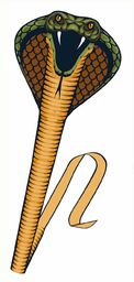 GÜNTHER FLUGSPIELE 1154 - Latawiec jednolinkowy Cobra, latawiec