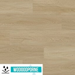 Panele winylowe SPC HOME INSPIRE DĄB NUBRA KL