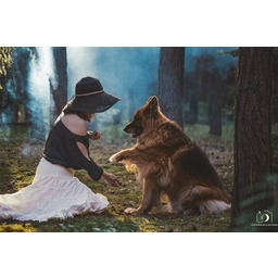 Sesja fotograficzna z pupilem - Sesja fotograficzna