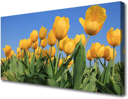 Obraz Canvas Tulipany Kwiaty Roślina
